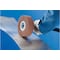 Pferd 6" x 2" POLINOX Unmounted Flap Wheel - 1" A.H. - PNL Type - Medium Grade 43129 - alternate 2